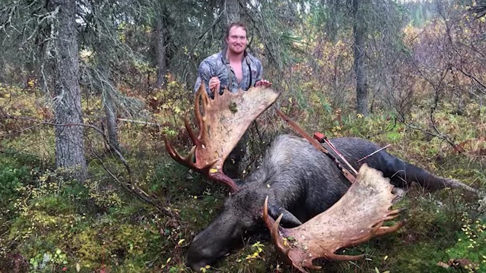 Video: Massive Alaska Moose Tagged With a Traditional Bow