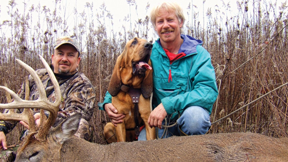 Blood Tracking Dogs 101: Using Dogs To Recover More Deer