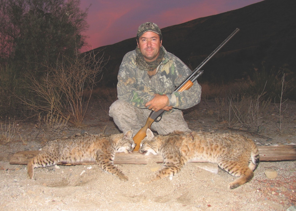 Hunting Bobcats with a Scattergun