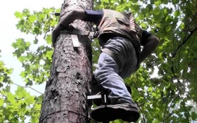 What you need to know when hanging treestands