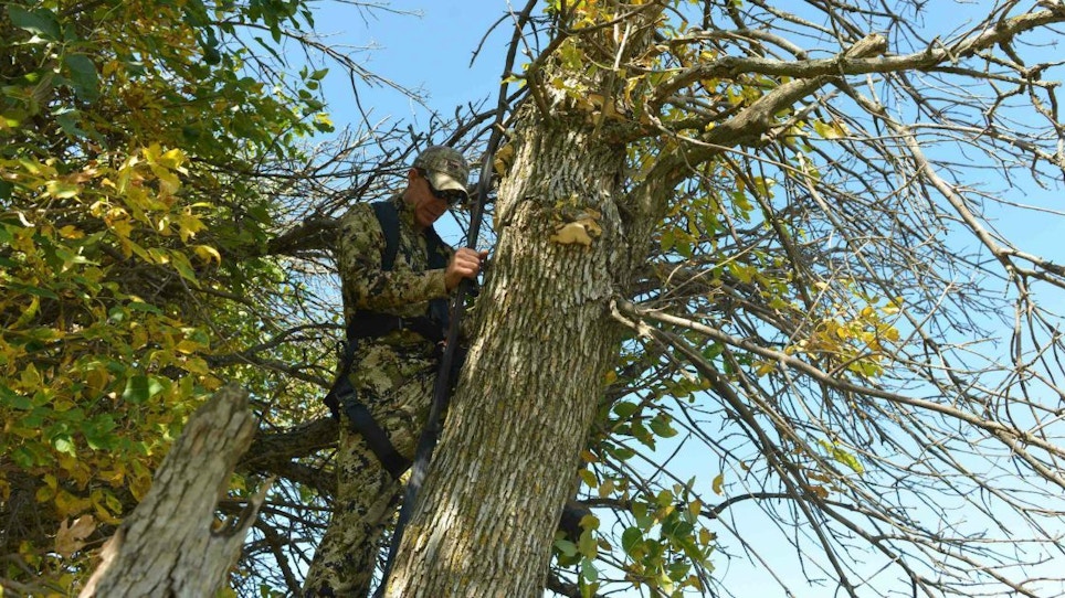 Can't Find a Perfect Treestand Tree?