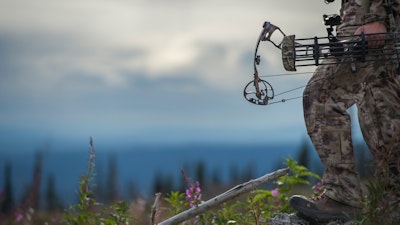 Top 10 Bow Repair Kit Essentials