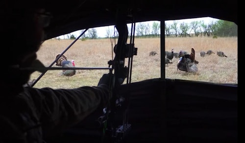 Greg Clements of The Hunting Public draws as a Kansas tom struts toward his gobbler decoy.