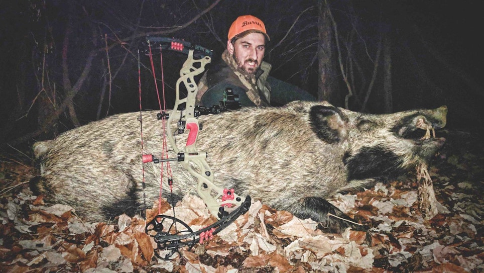 Bowhunting Wild Hogs on Public Land