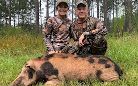 Feral Pigs, a Great Gateway for Hunters
