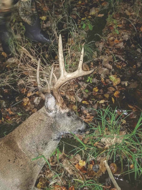Pictured is the 10-point buck that crossed both hunters’ paths, leading to the confrontation.