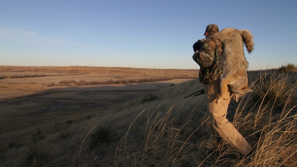 Why Trust Is a Crucial Component to Predator Hunting