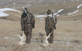 Find The Right Predator-Hunting Partner