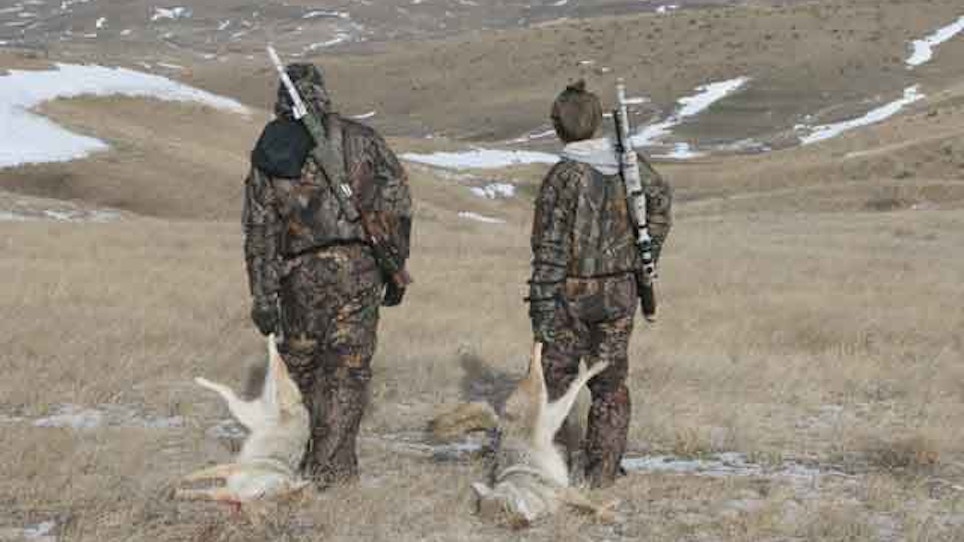 Find The Right Predator-Hunting Partner