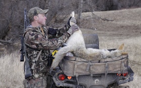 3 places you'll find coyotes while hunting wild game