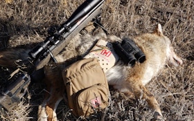 Which Riflescope for Coyotes Is Right for You?
