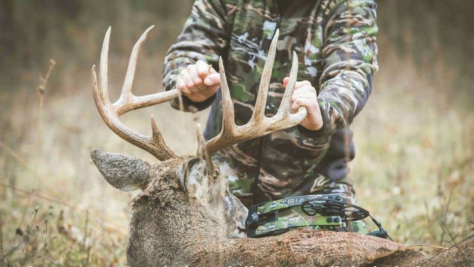 Public Land Playbook for Out-of-State Whitetails