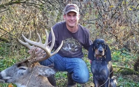 Video: Blood Trailing With a Bluetick Coonhound