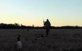 VIDEO: Hunting ducks and geese in Saskatchewan