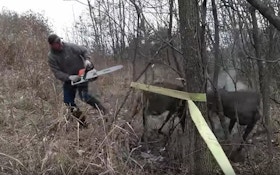 Must-See Video: Chainsaw Used to Free Locked Whitetail Bucks