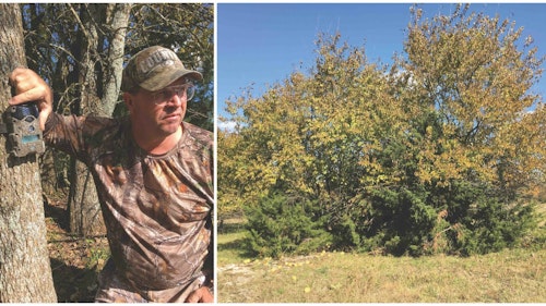 One week before the author’s arrival in Kansas, Wicked Outfitters guide Pat Boone (left) placed a scouting cam to capture pics of a particular heavy-racked buck. When it comes to brushing in a pop-up ground blind, Boone is the master. The right photo shows what the whitetails saw when looking toward the author’s ambush.