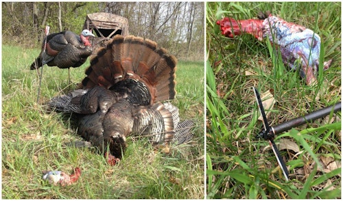 When hiding in a ground blind with black interior, the author prefers a Magnus Bullhead matched with a Victory arrow. The combo is deadly for head/neck shots on turkeys.