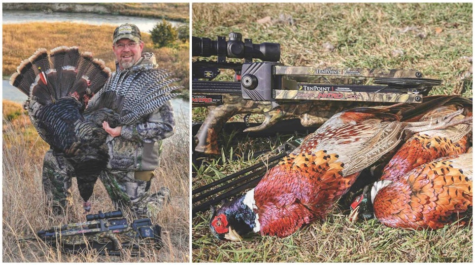 The author had tagged out on a Nebraska whitetail, so he turned his attention to wild turkeys, then pheasants.