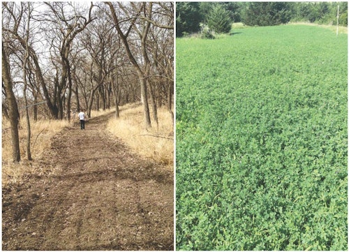 Mowed, sprayed and manicured trails connecting blocks of bedding timber create a travel corridor deer will use throughout the year. Secluded green plots that deer can access easily before heading toward large ag fields can boost the chance of a buck encounter.