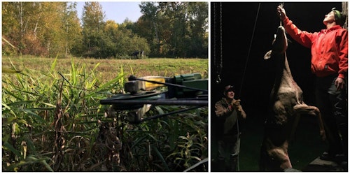 The author tagged this Wisconsin doe on Sept. 19, 2020, from the green-field ambush seen in the left photo. His dad and nephew checked the deer’s field-dressed weight — 108 pounds.
