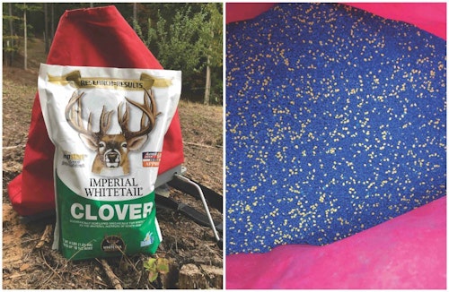 Notice the brightly colored seeds in this bag of Whitetail Institute’s clovers? These seeds are pre-inoculated with the proper bacteria so that they will pump nitrogen back into your soil.