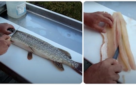 Video: How to Remove Y-Bones From Northern Pike