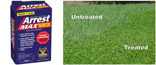 As shown above, you can control grasses in a clover plot by treating it with a grass-specific herbicide.