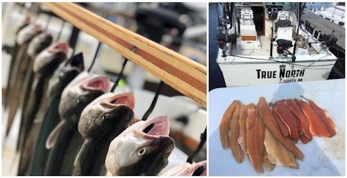 Fresh fillets are a welcomed bonus to an outstanding day of charter fishing on Lake Superior.