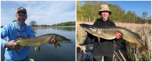 Lakes can't produce big fish unless they are allowed to grow old. For example, the northern pike on the right, 39.5 inches, is at least 20 years old. In the North and Midwest, it takes a pike about 15 years to obtain 30 inches in length. The pike on the left, caught by the author, measured 35 inches. Both fish pictured were immediately released.