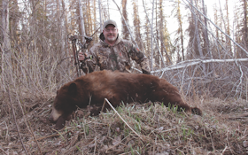 The Best Places to Hunt a Color-Phase Bear