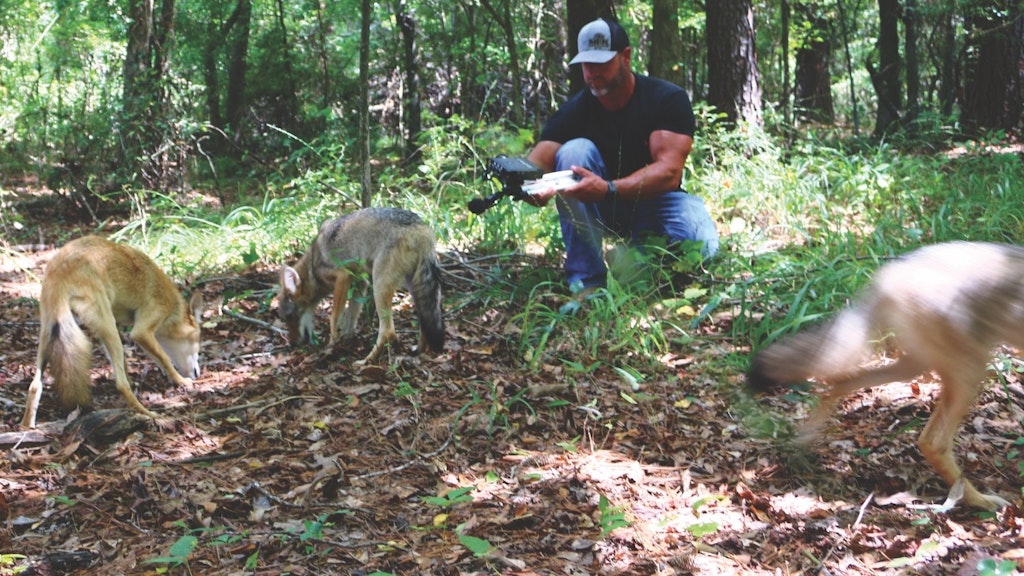 Hunters who seek 100 percent authentic animal sounds need look no further than those offered by Torry Cook. Here, he records coyote vocalizations up close and personal.