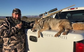 Hunting Coyotes: Passion or Addiction?