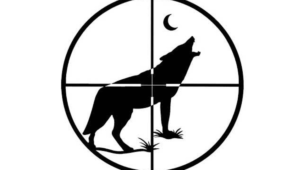 Settlement Ends Oregon Coyote-Killing Contest