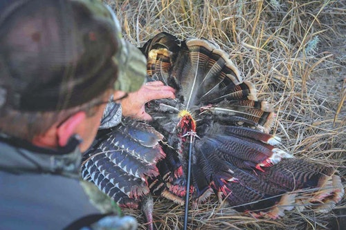 Whether you prefer fixed or mechanical broadheads when crossbow hunting, the author suggests using a heavier broadhead to cut through and penetrate the hollow bones and thick feathers of turkeys.