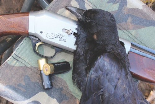 Crows are large birds, and while regular dove loads can be used, high-based No. 4s and 6s will extend your shotgun's range.