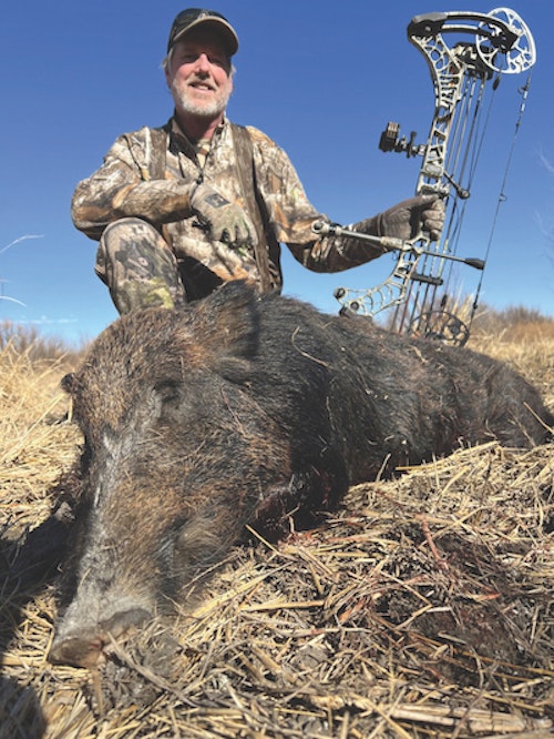 Stalking hogs is always more fun than sitting for them. It is even more fun when you get multiple opportunities in a single day. Circuit baiting can make that happen.   