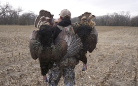 Hunt Wild Turkeys On a Budget