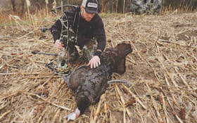 Bowhunting Turkeys: Have a Plan for Body Shots
