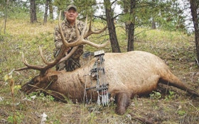 3 Elk Experts Reveal Their Secrets to Bowhunting Success