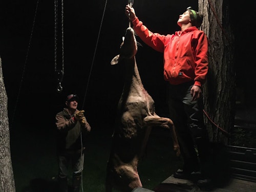 The author killed a September doe in Wisconsin with a 12-yard head-on shot from the ground. You can see the entrance hole at the base of the deer’s neck. Here, the author’s nephew is checking the doe’s weight (field dressed 120 pounds).