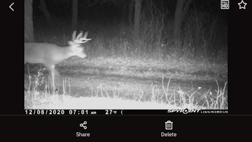 Curious if a particular buck made it through the gun season? A trail cam pic can provide proof, and give incentive to keep bowhunting hard until the very end.
