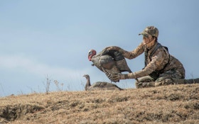 Decoy Placement for Bowhunting Turkeys: Keep Them Close!