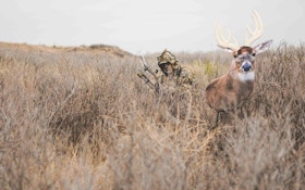 Bowhunting Open-Country Whitetails