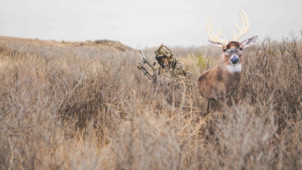 Bowhunting Open-Country Whitetails
