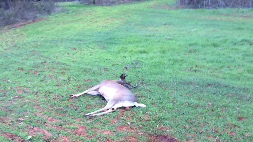 The Life Of A Bowhunter In Deer Season: Day 13