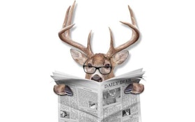 Bloomington Mayor Vetoes Preserve Deer Hunt Plan