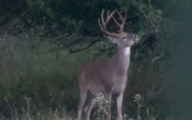 Missouri Officials, Hunters Seeing Fewer Deer