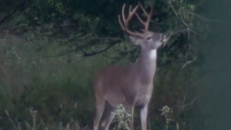 Deer Hunting: Generational Changes