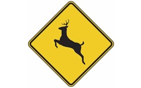 Bicyclist Struck By Deer While On Ride
