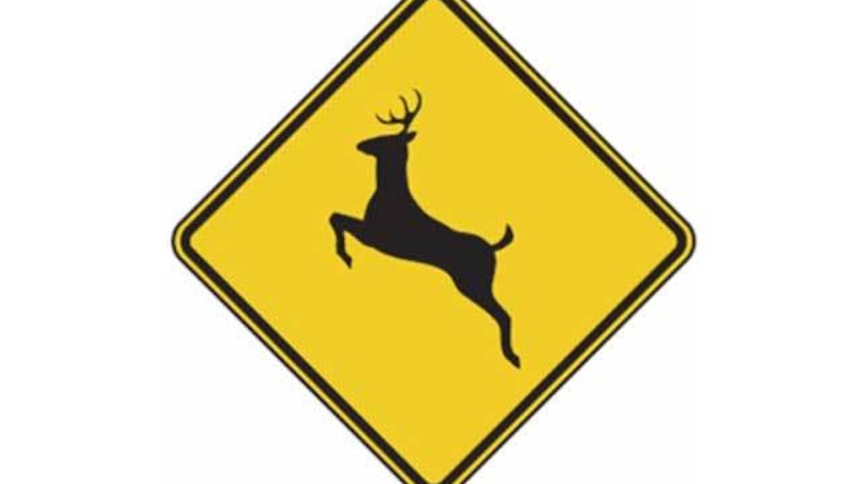 Deer removal all in a day's work for highway crew